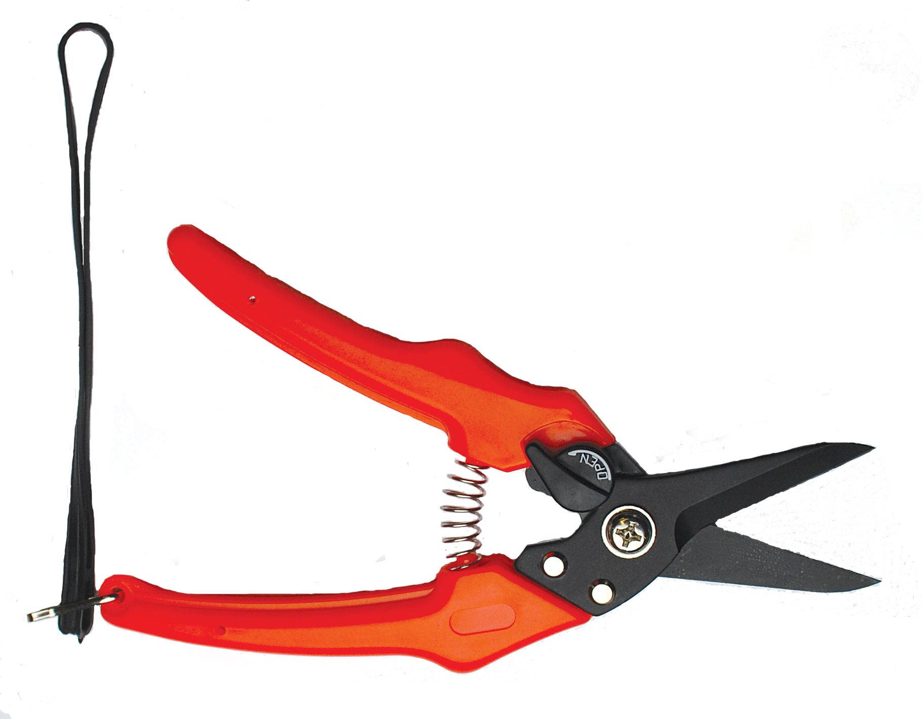 Lightweight Foot Rot Shear